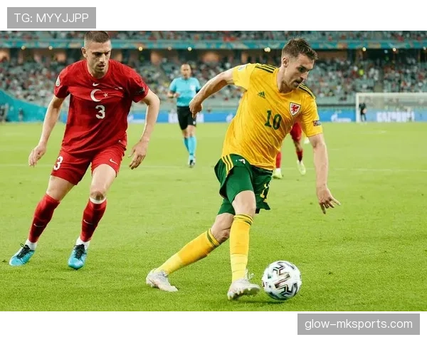 蒙彼利埃展示出色控球能力，持续提升在联赛中的竞争力表现